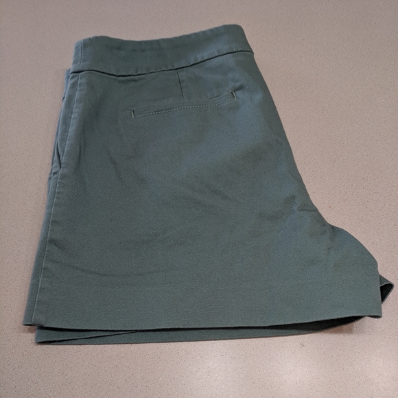 Loft Shorts. Green. Size 10 - Picture 2 of 6